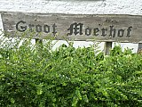 Mertensrit 2026